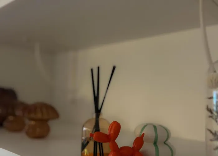 Equipe A Avec Terrasse *